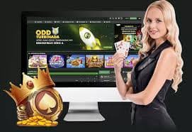 o9 bet login